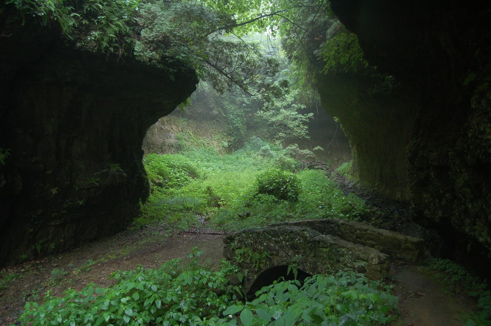 Highlands Nature Sanctuary - Image 1