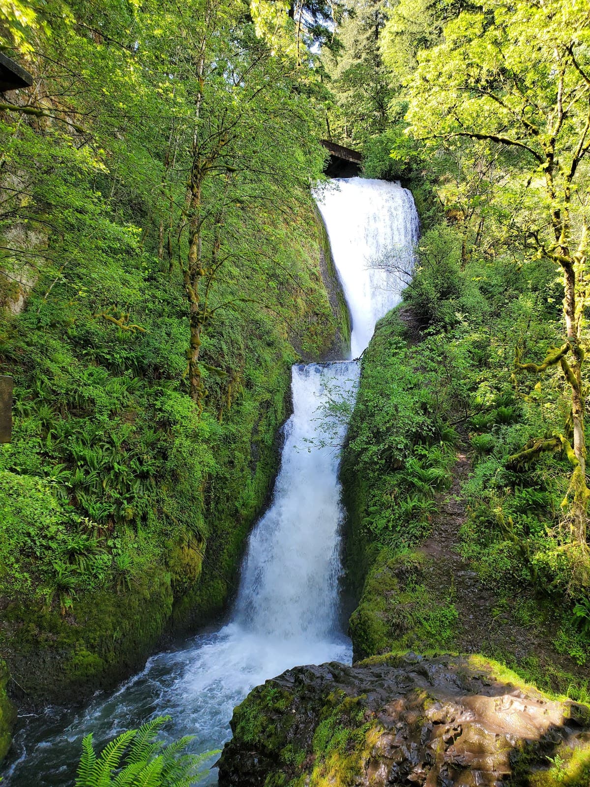Bridal Veil Falls - Image 1