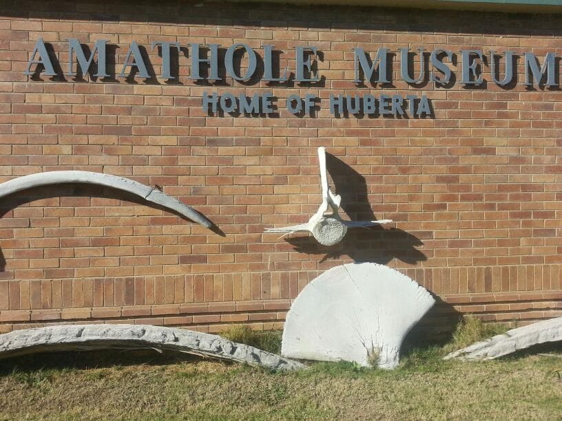 Amathole Museum (Qonce) - Image 1