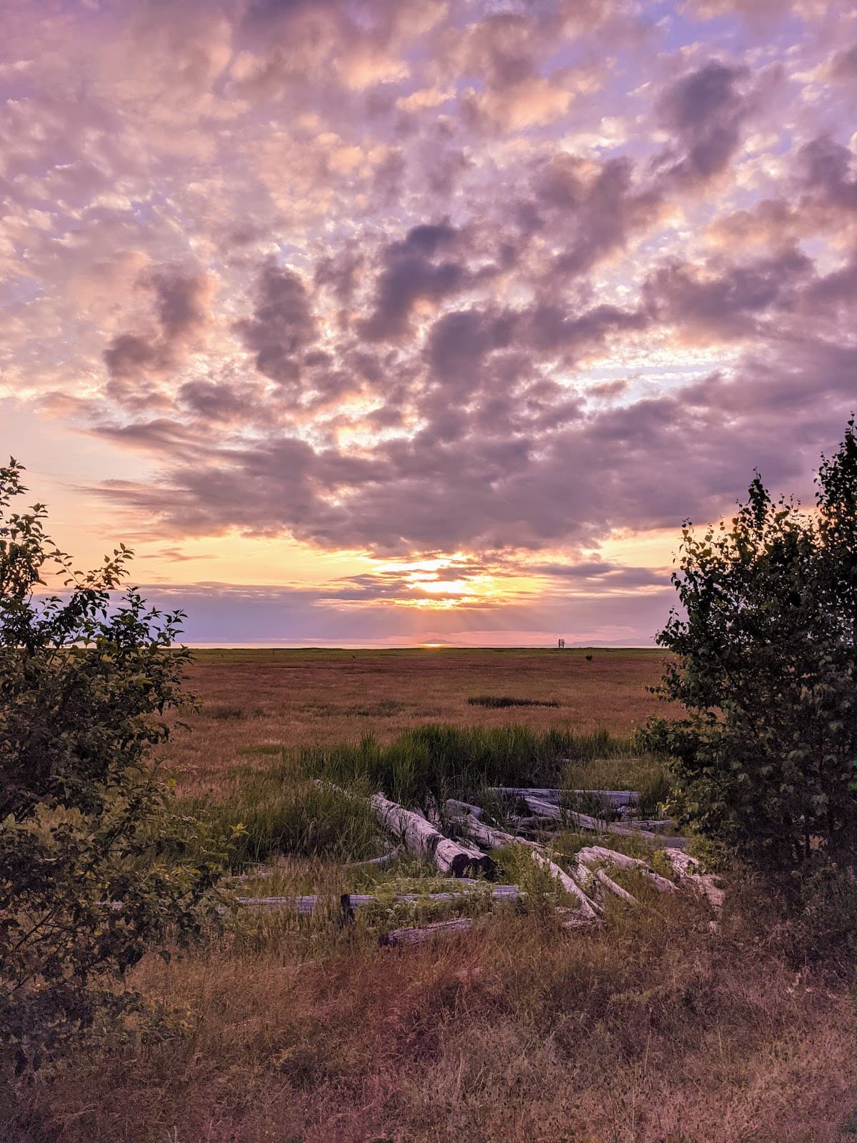 West Dyke Trail - Image 1