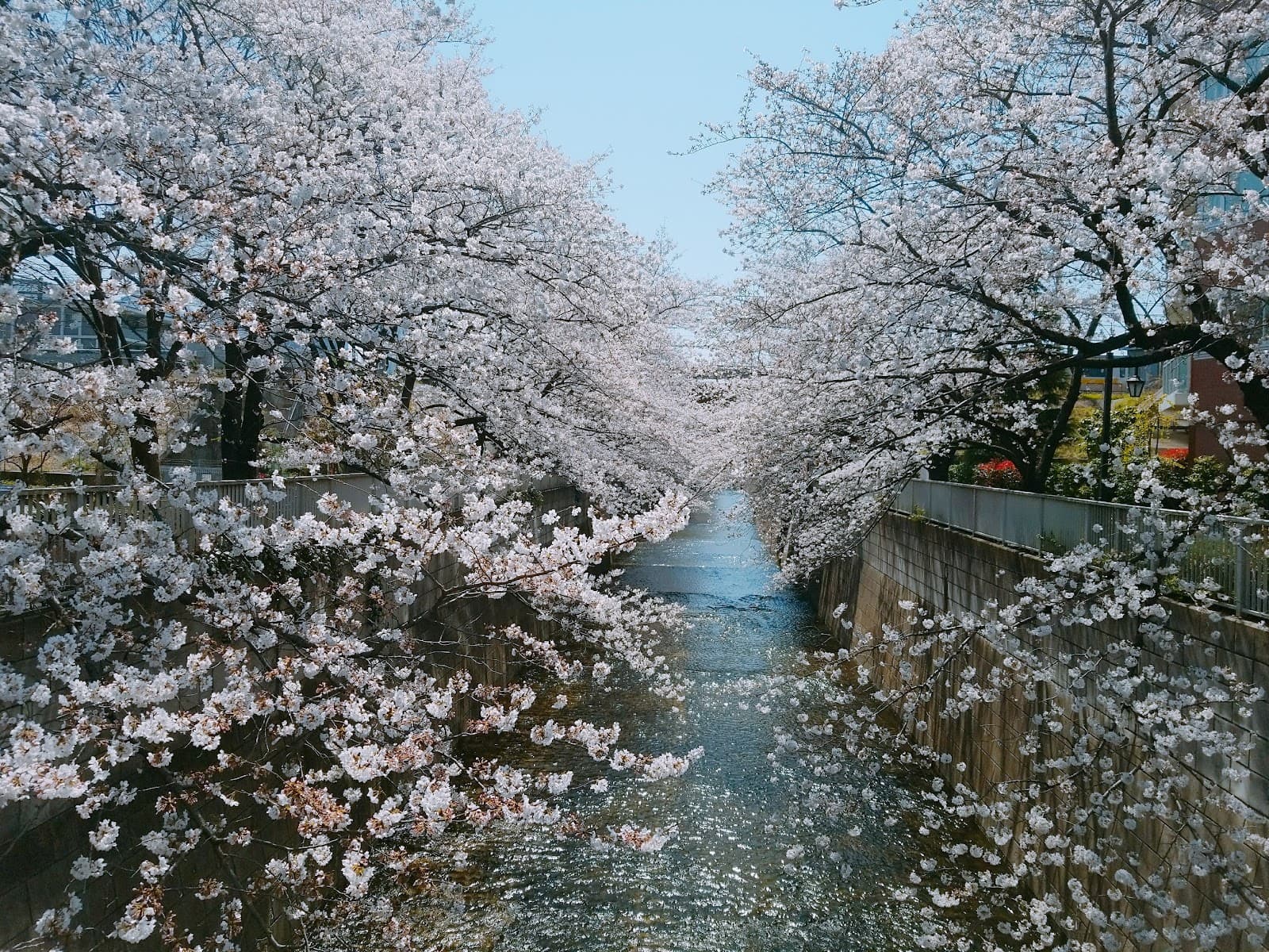 Higashi-Nakano - Image 1