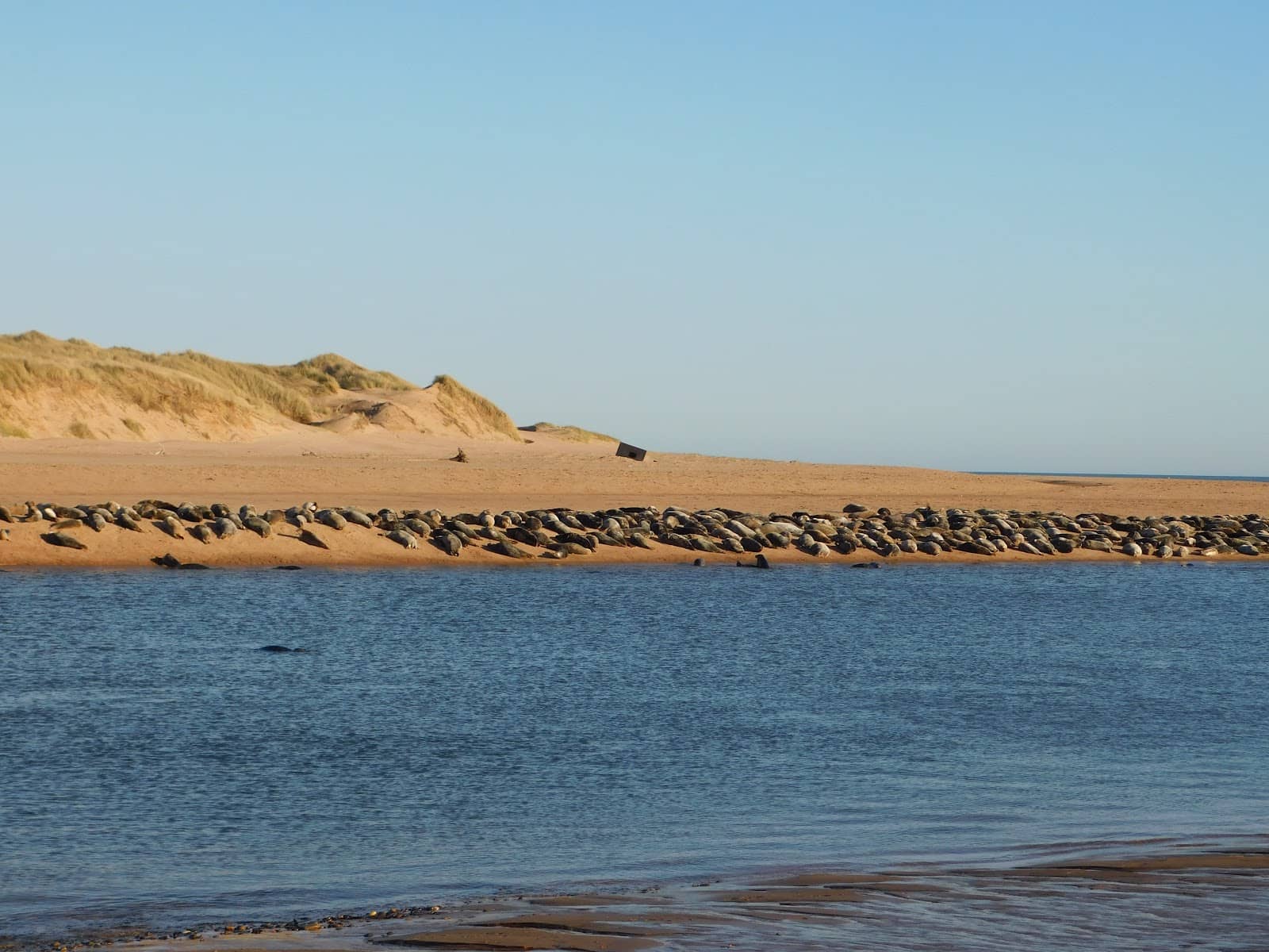 Ythan Estuary Views