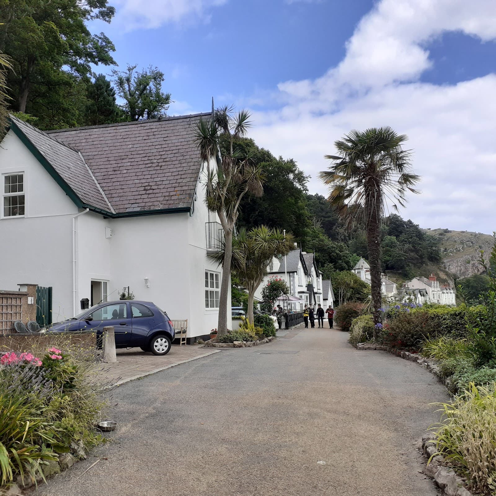 Haulfre Gardens - Image 1