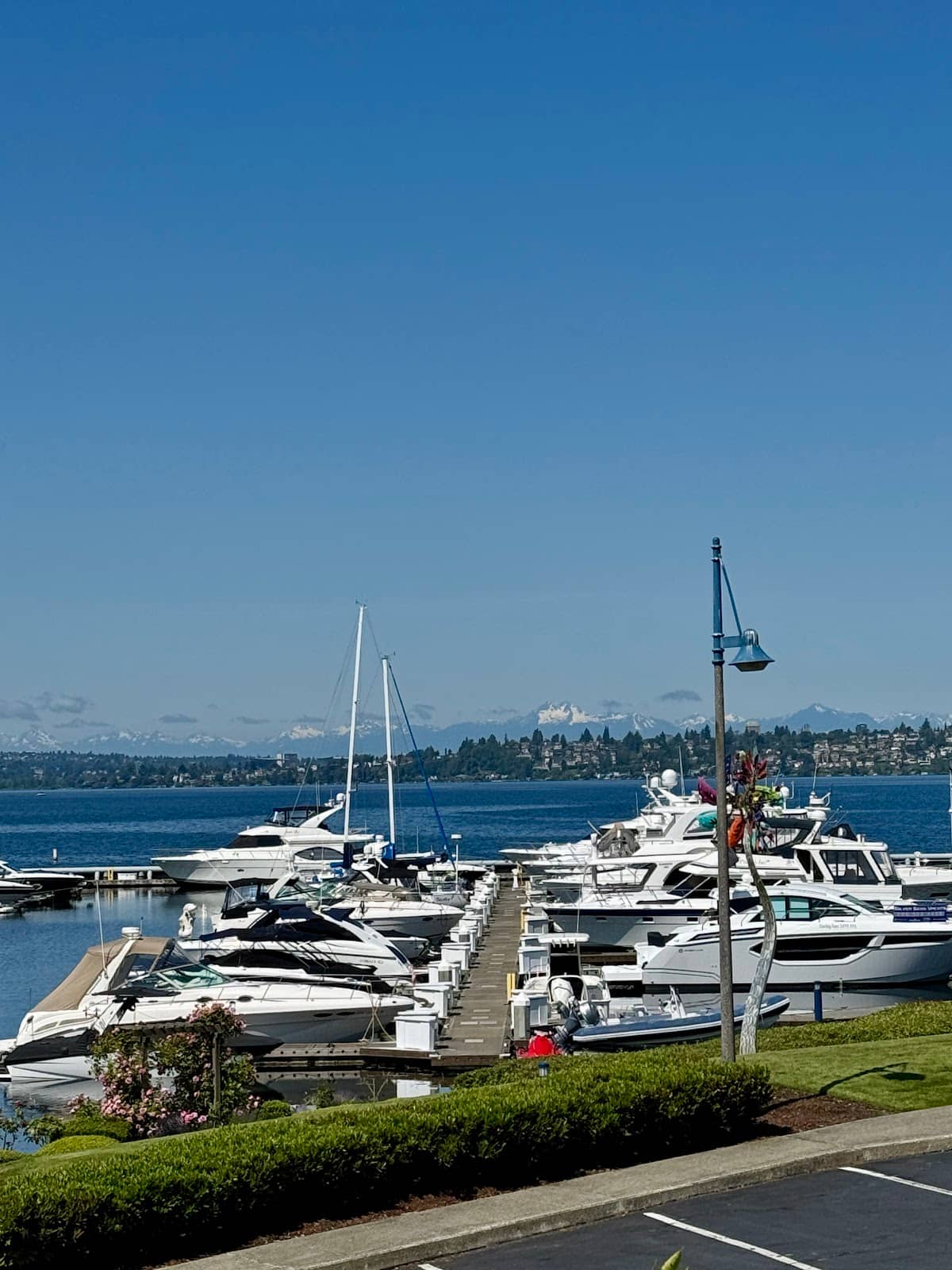 Perking Spot Coffee Truck