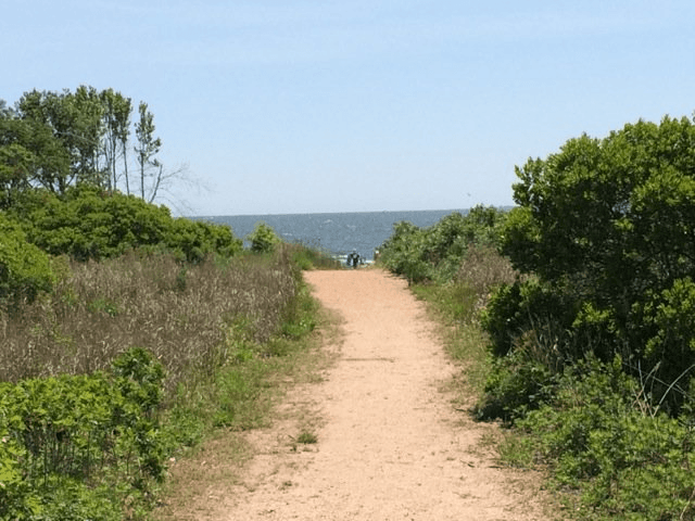 Salt Marsh Exploration