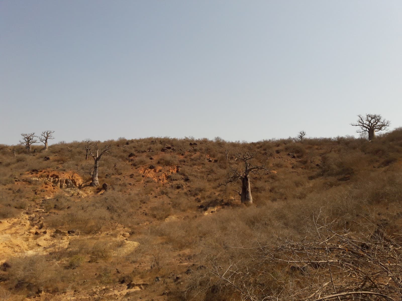 Popenguine Nature Reserve - Image 1