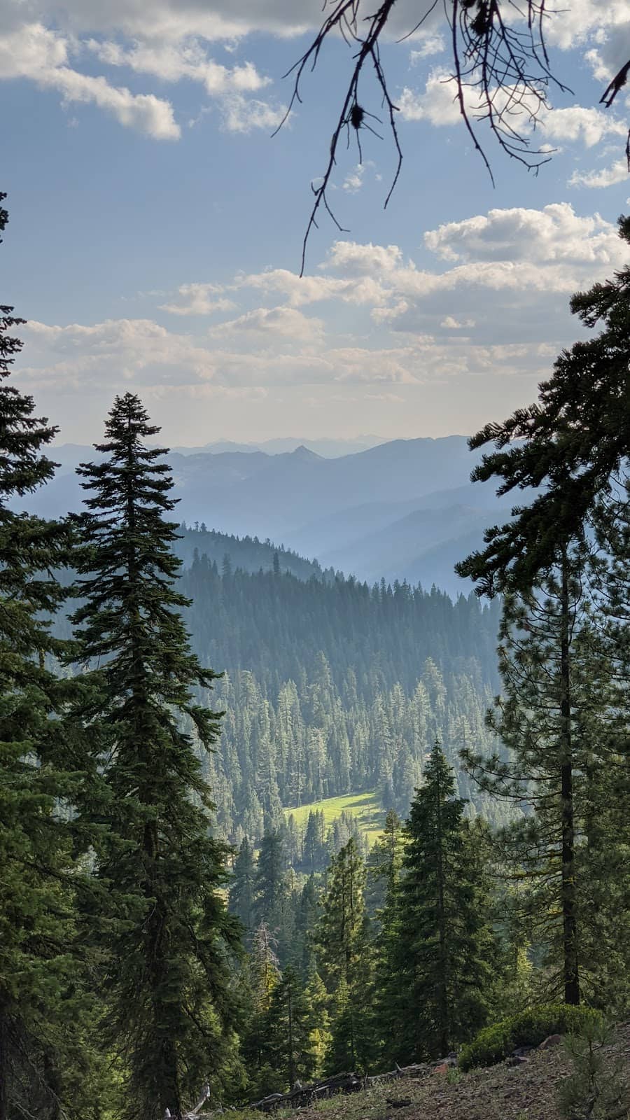 Vertical photo