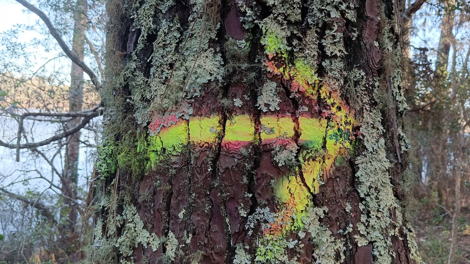 Vertical photo