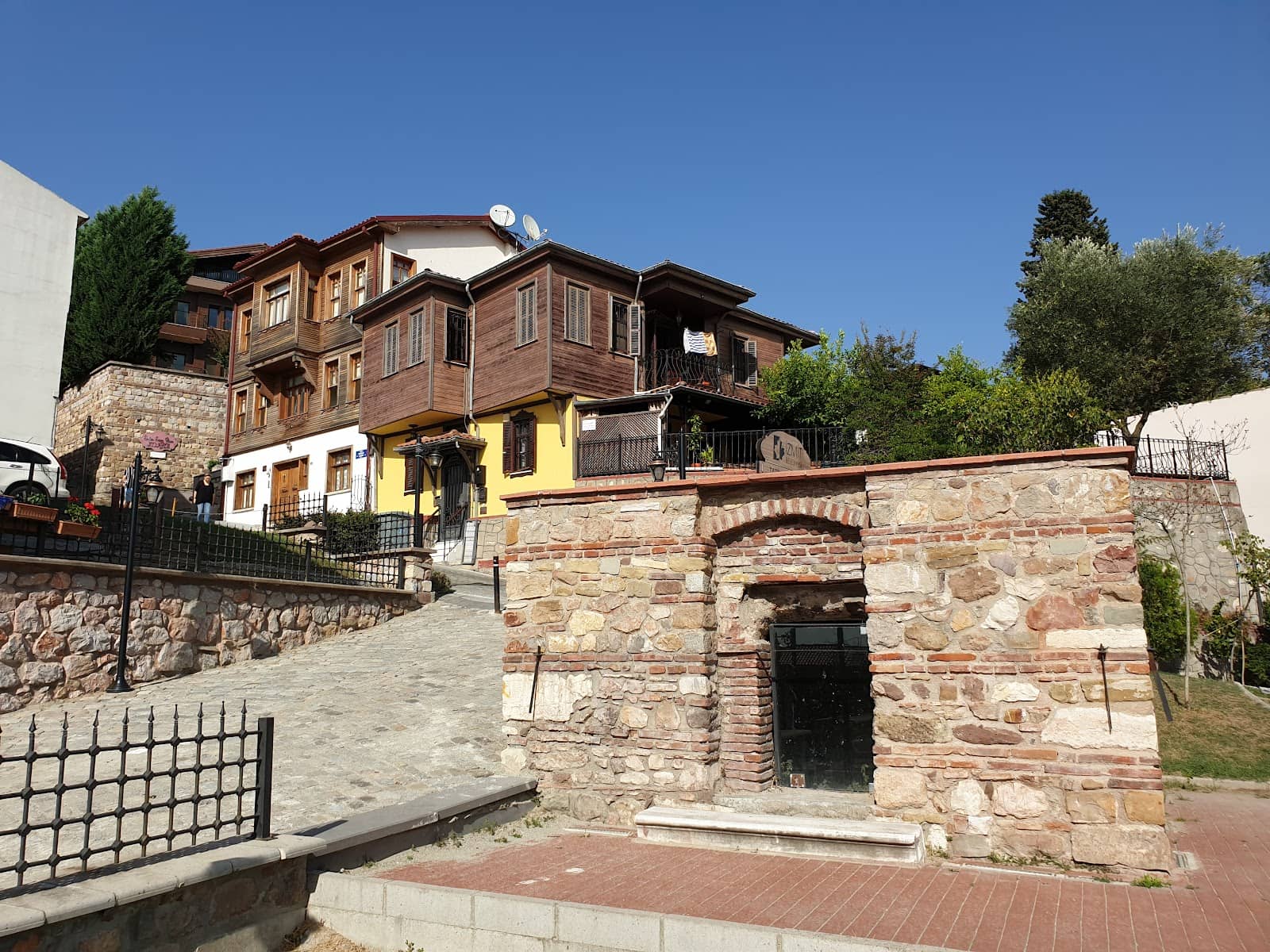 Vertical photo