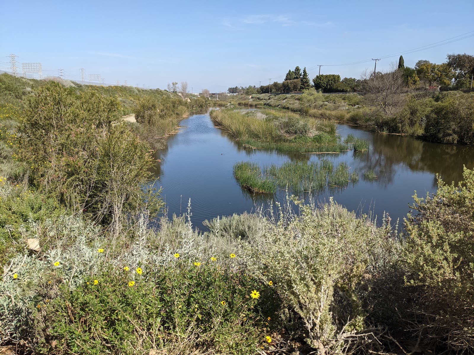 Dominguez Gap Wetlands - Image 1