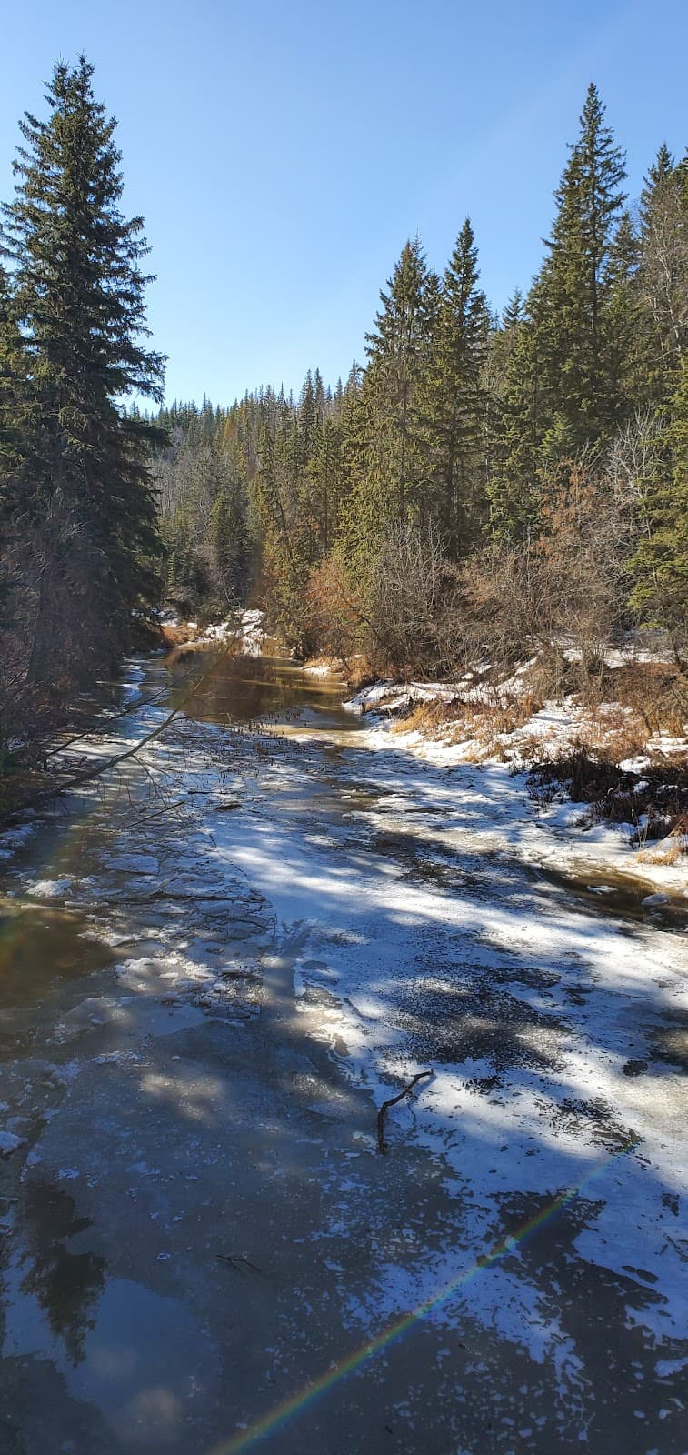 Whitemud Park Edmonton - Image 1