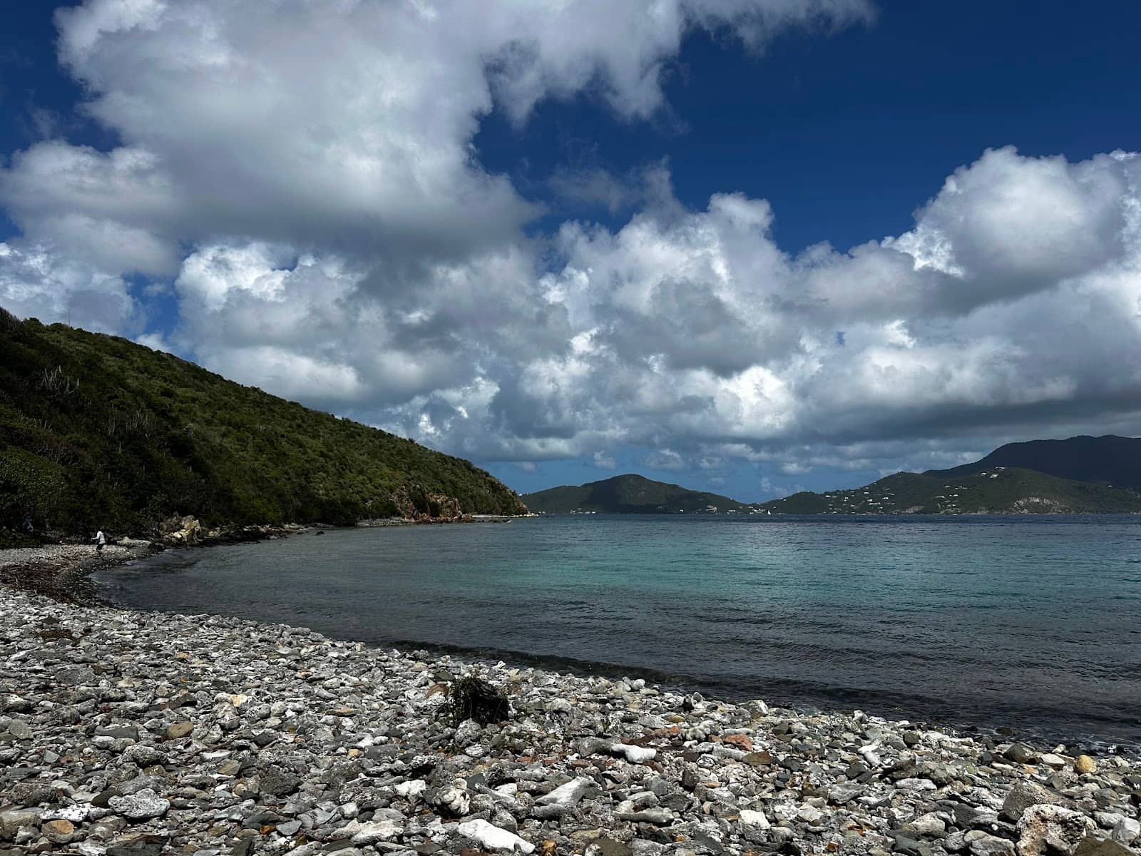 Rocky Coral-Littered Beach
