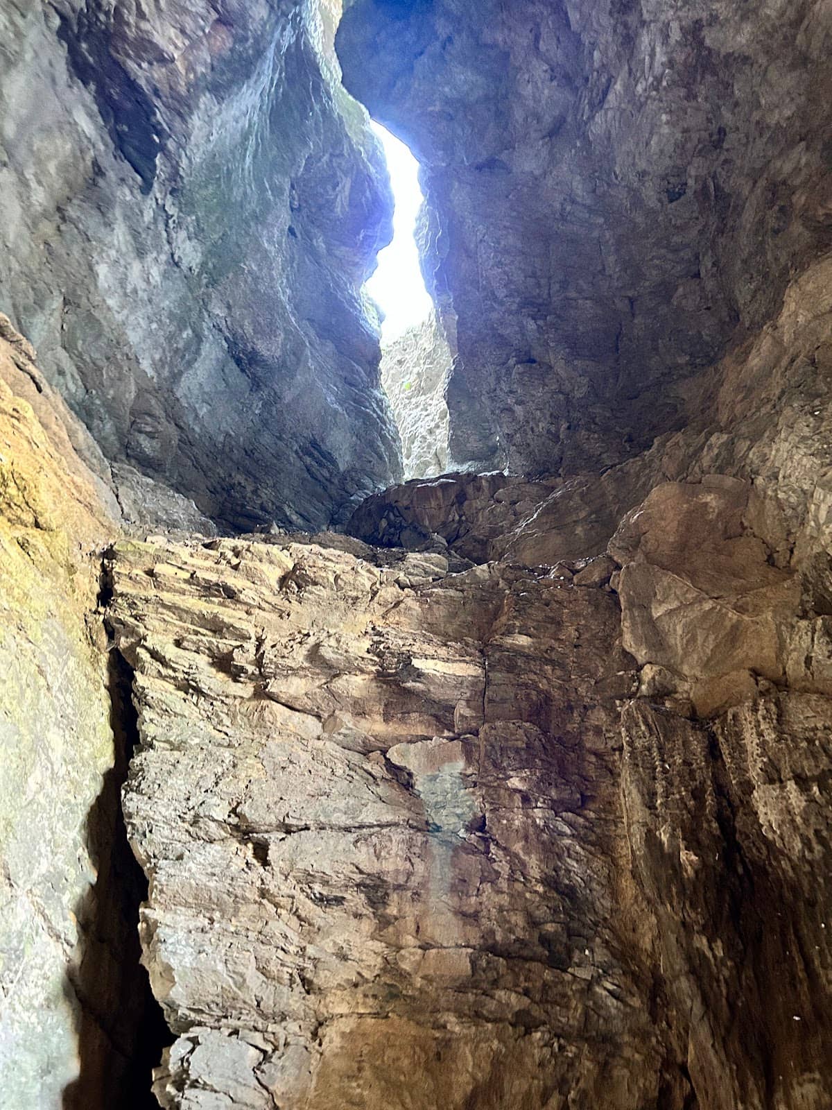 Vertical photo