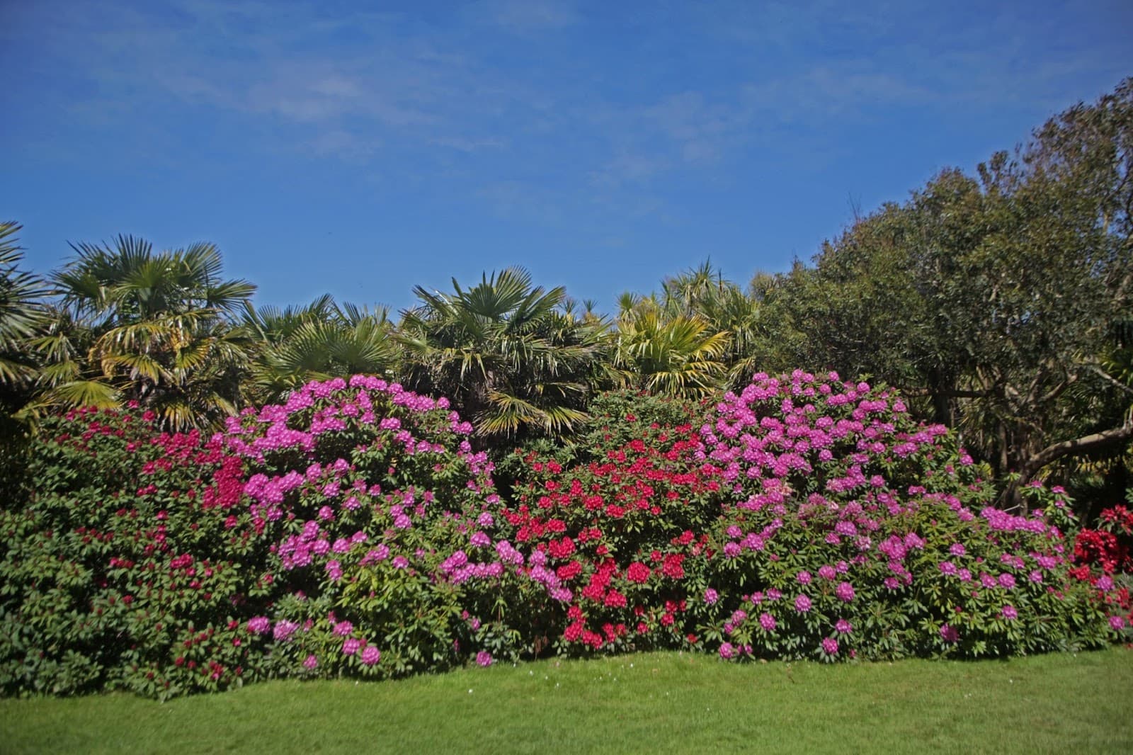 Jardin Botanique de Vauville - Image 1