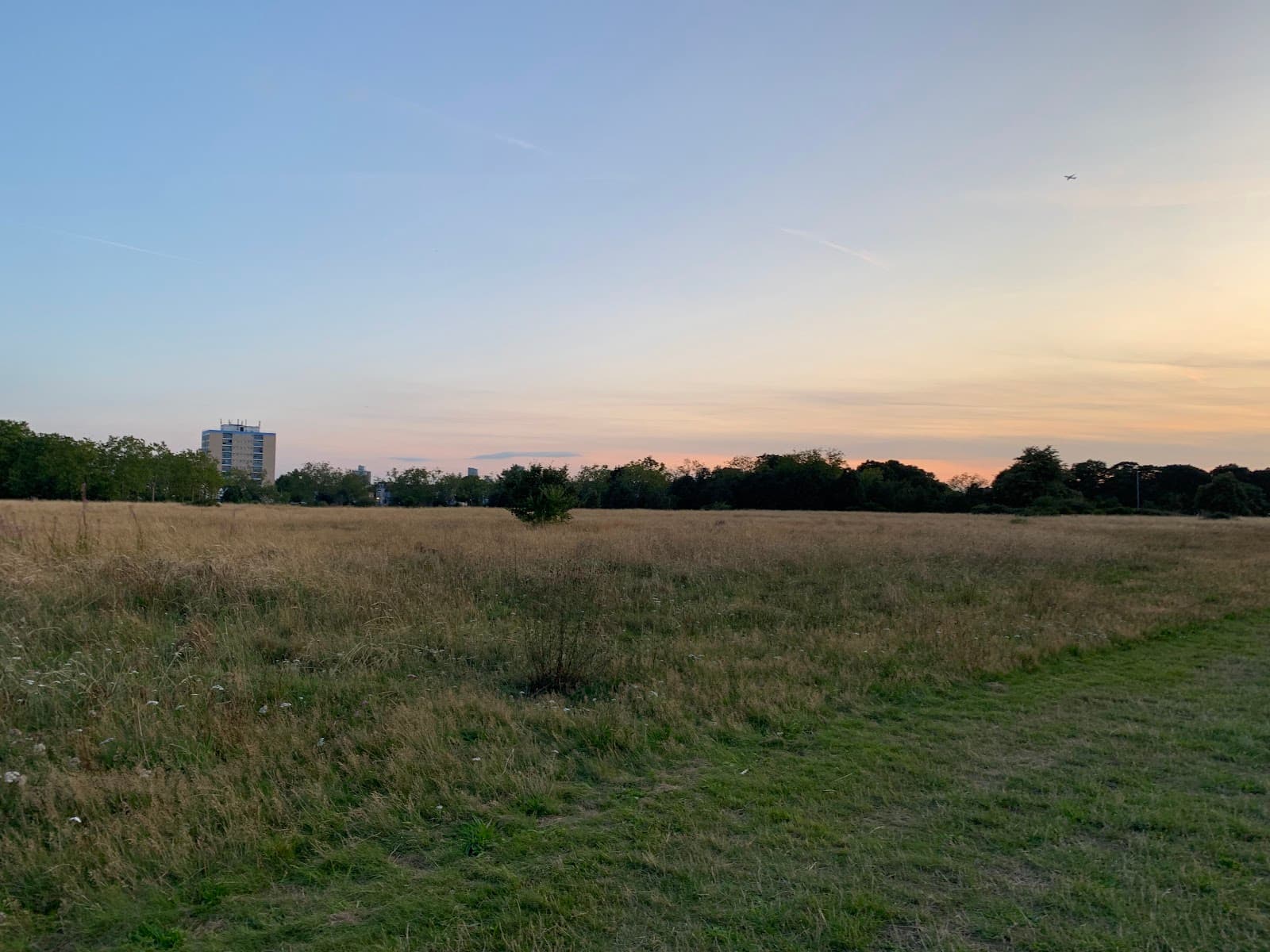 Wanstead Flats - Image 1