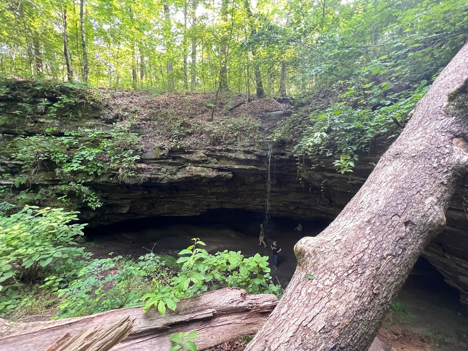Sand Cave Trail (Floyd Collins Site) - Image 1