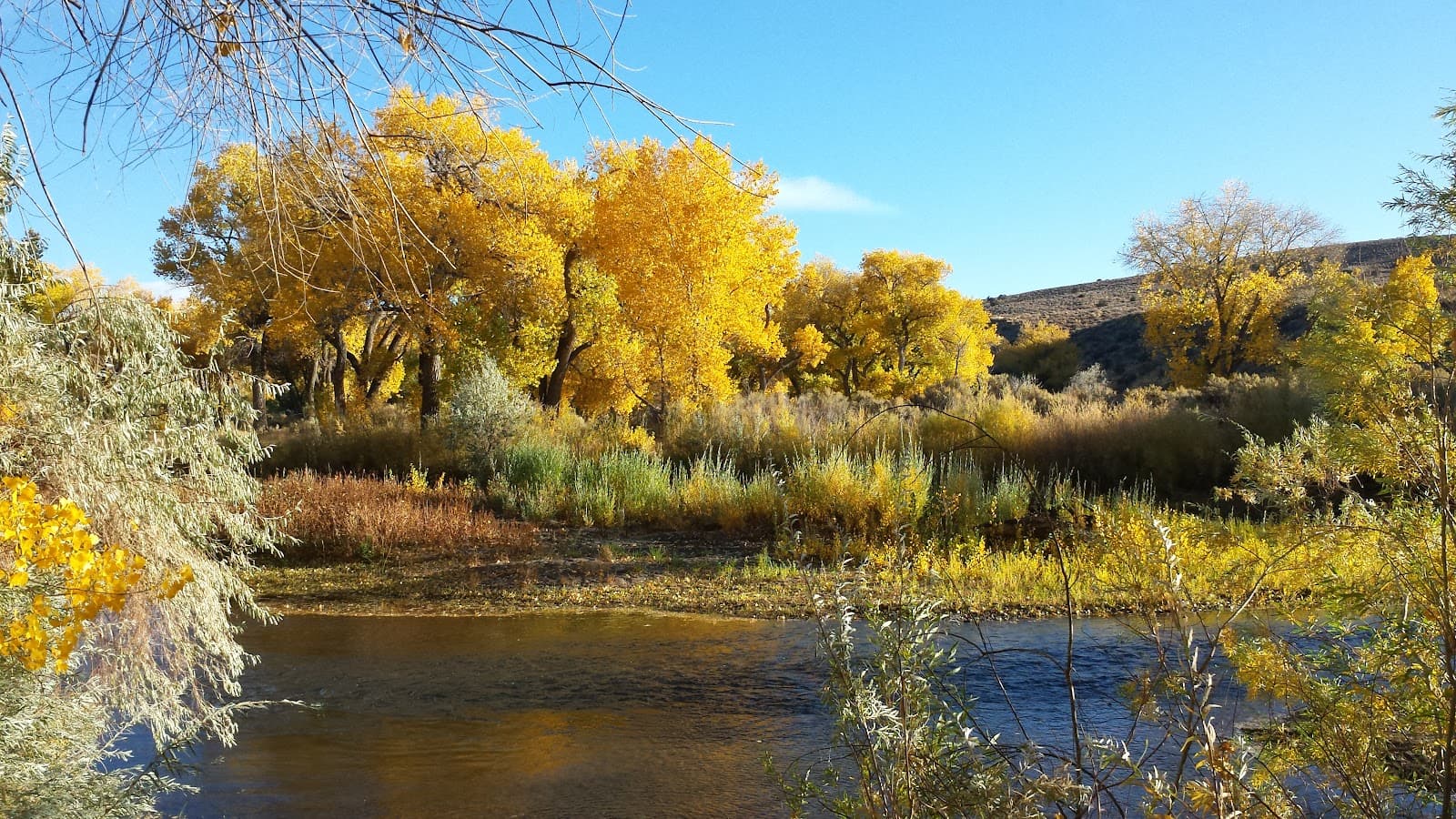 Riverview Park & Wetlands - Image 1