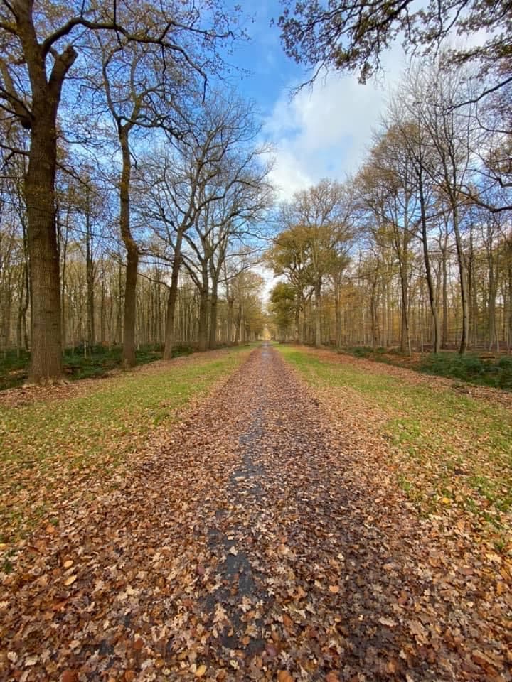 Liesbos - Image 1
