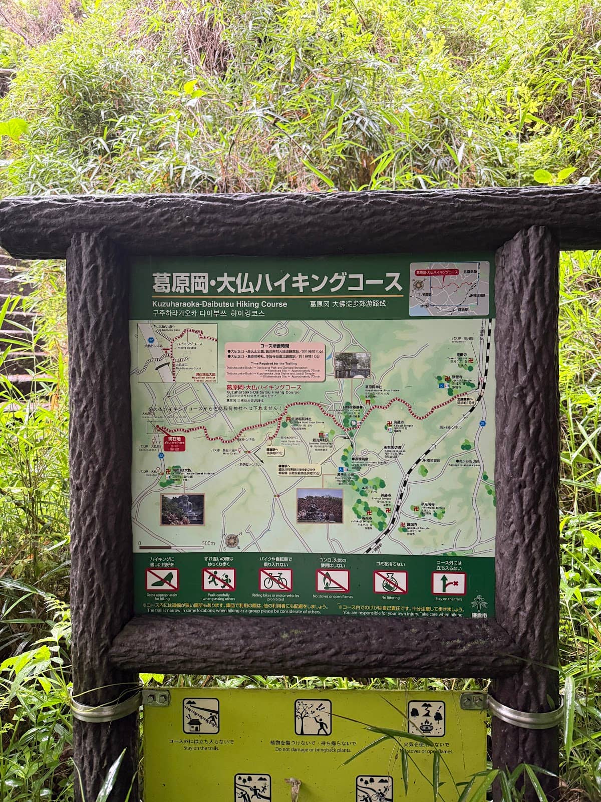 Vertical photo