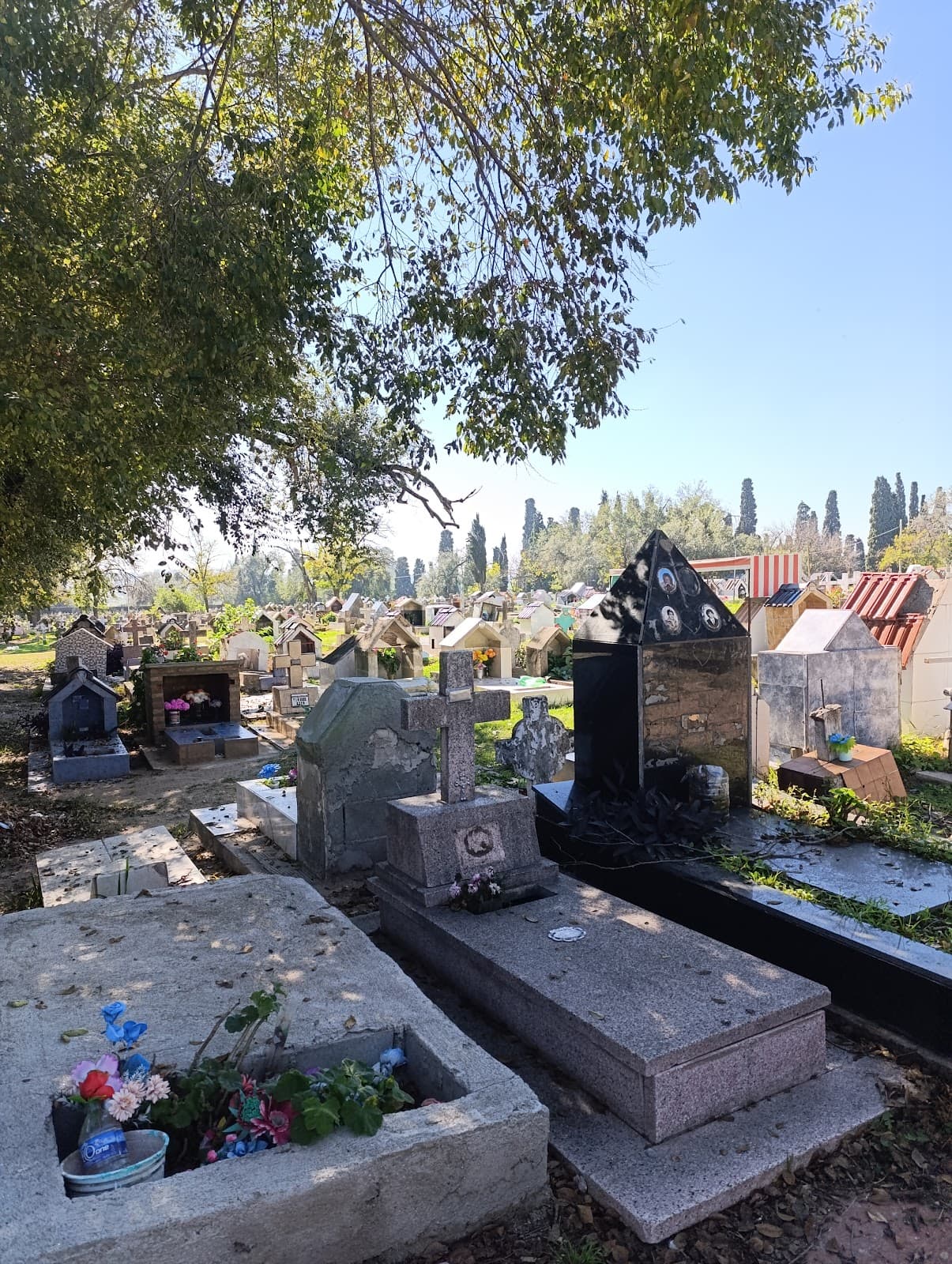 Cementerio San Vicente - Image 1
