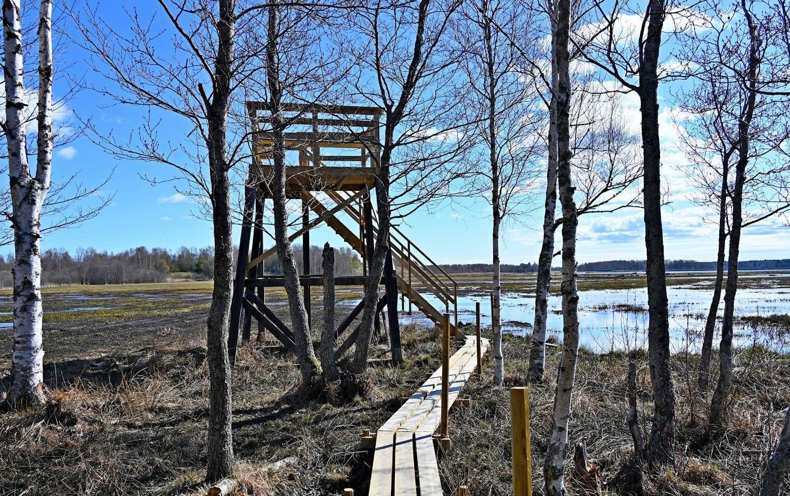 Accessible Nature Trails