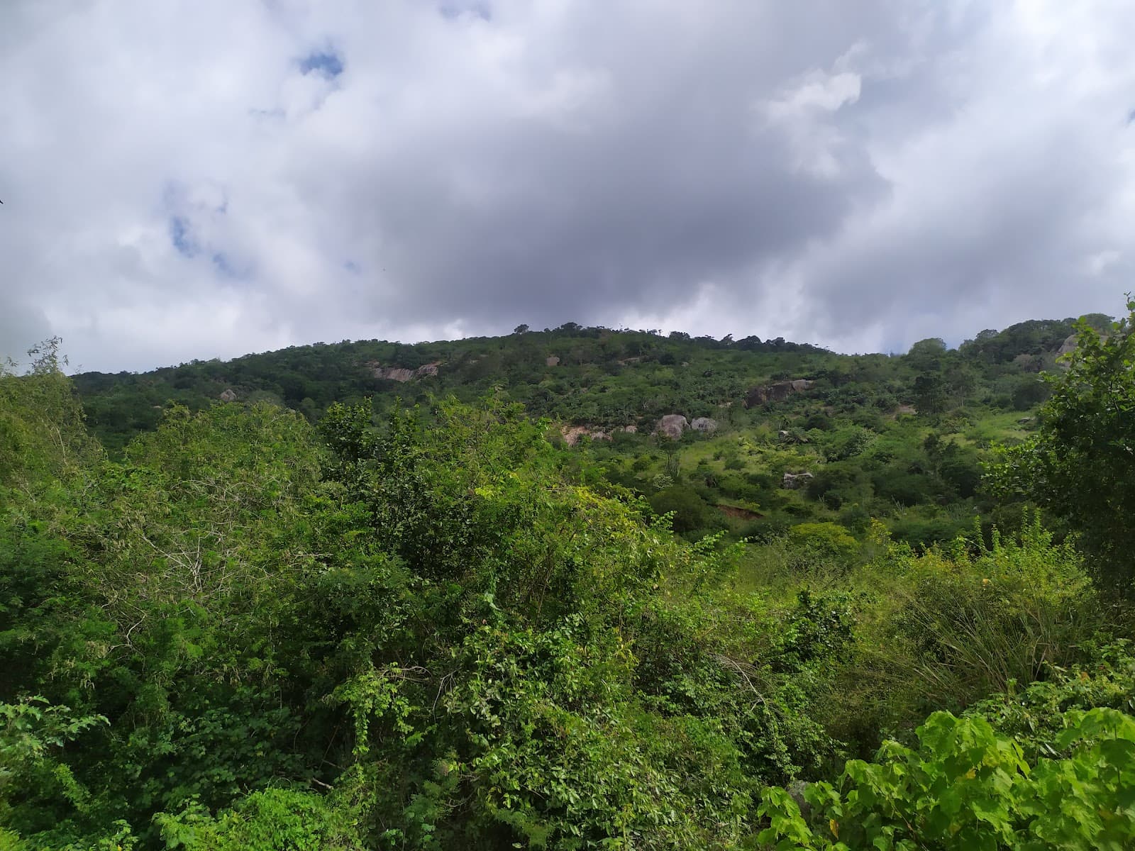 Centro Histórico de Cachoeira (day trip) - Image 1