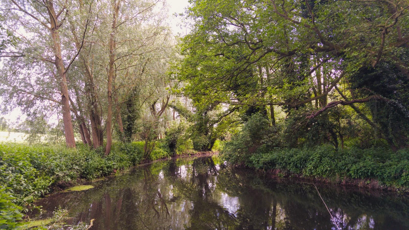 River Gipping Path - Image 1