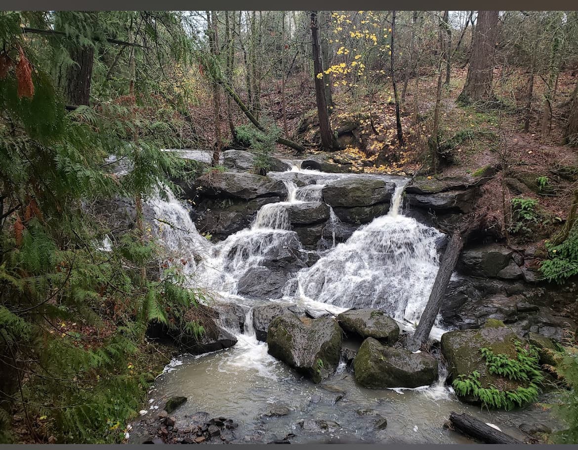 Cedar Mill Falls - Image 1