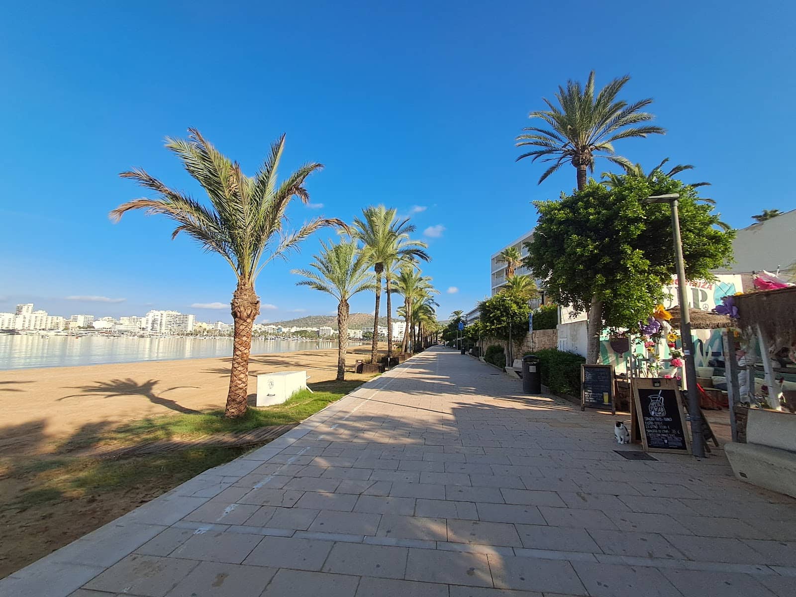 Ibiza Global Festival