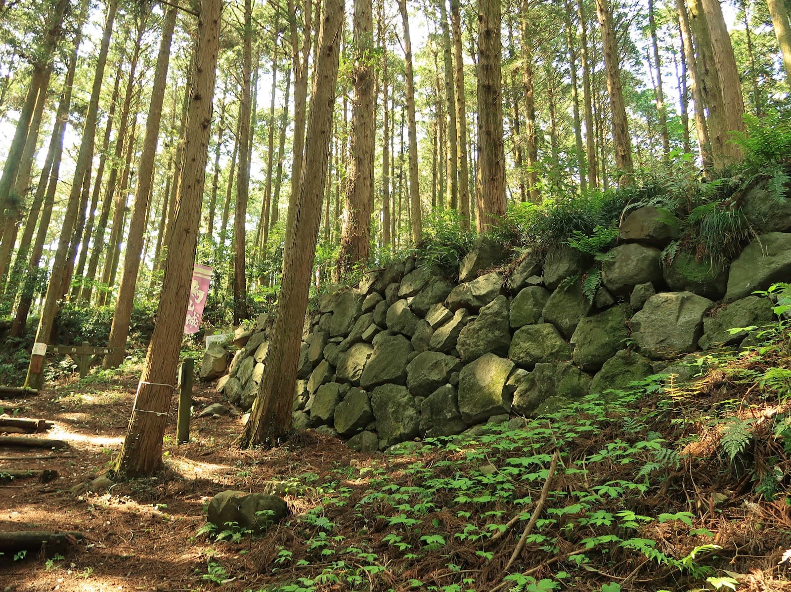Nasu Karasuyama Castle Ruins - Image 1