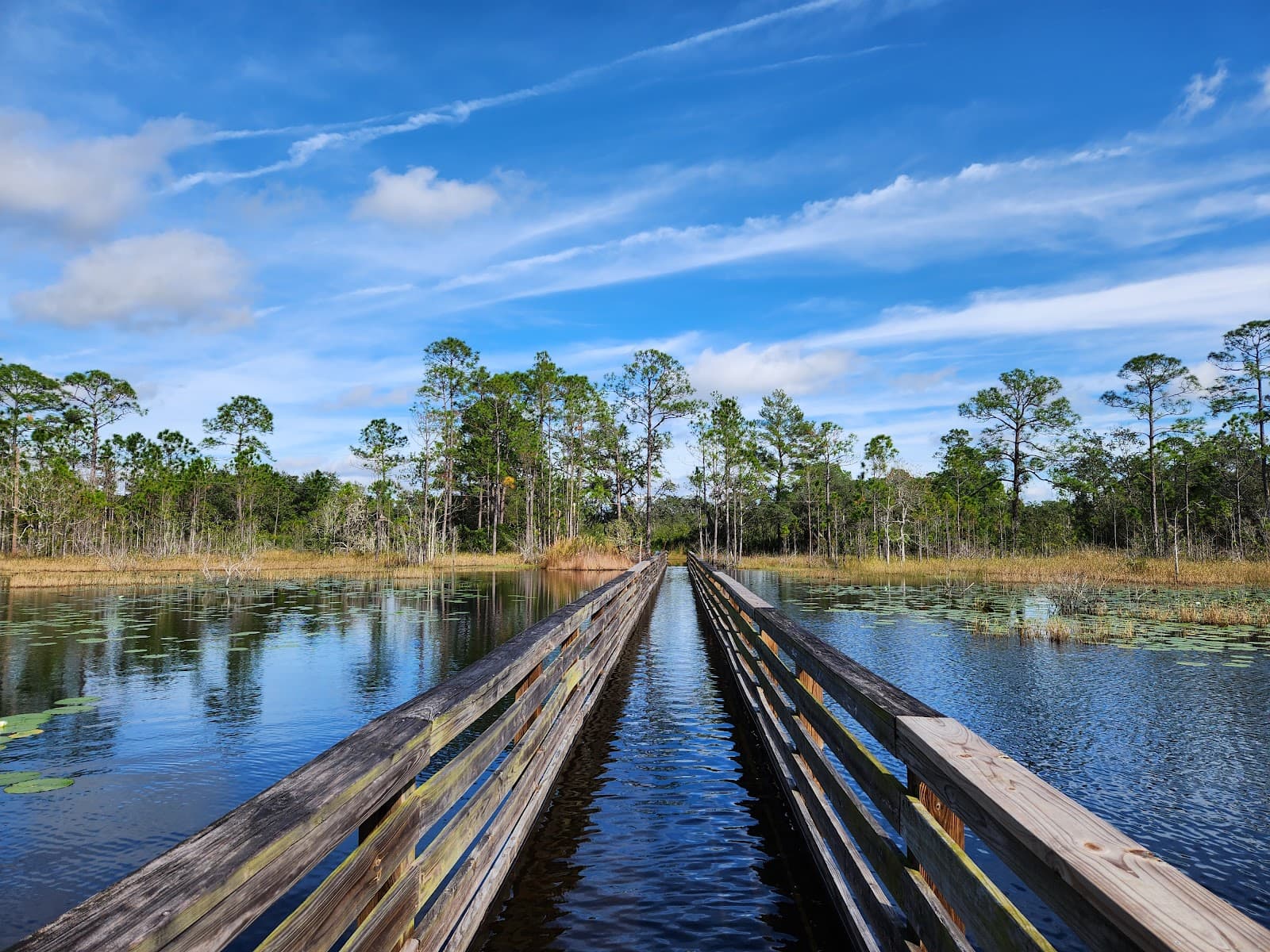 Geneva Preserve - Image 1