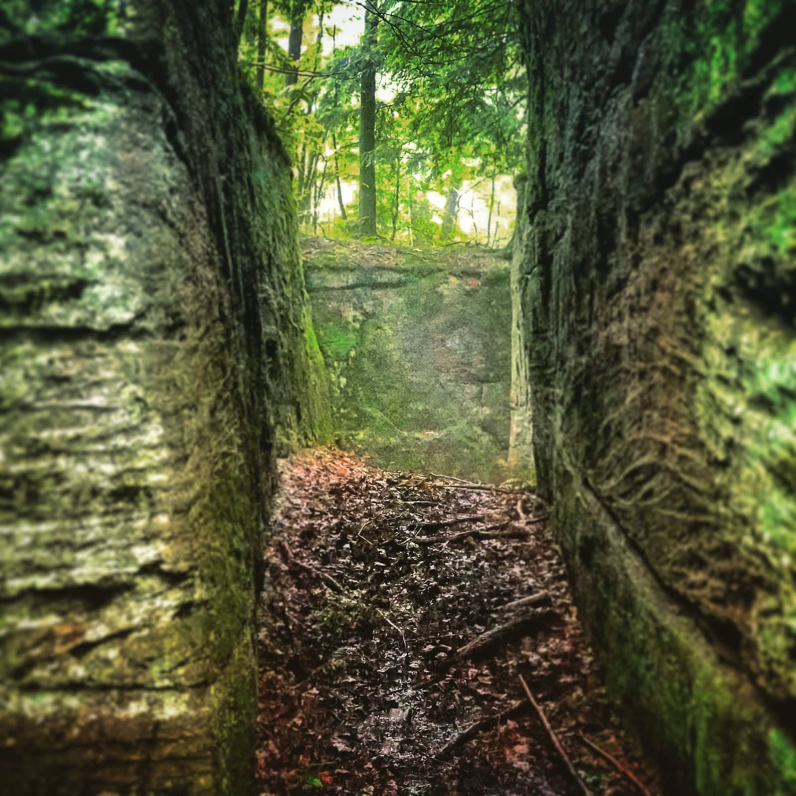 Pinnacle Mountain State Park