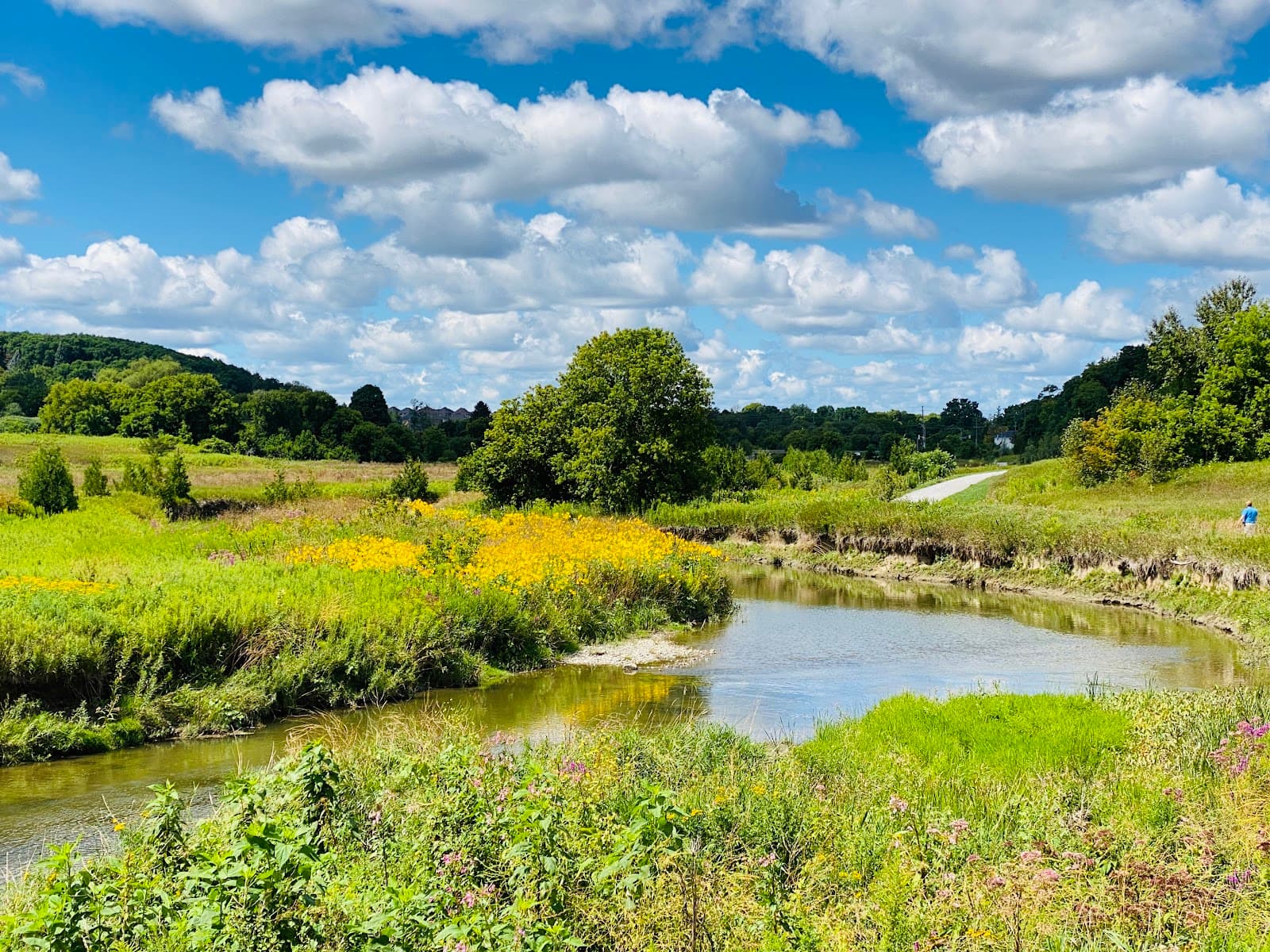 Nokiidaa Trail - Image 1