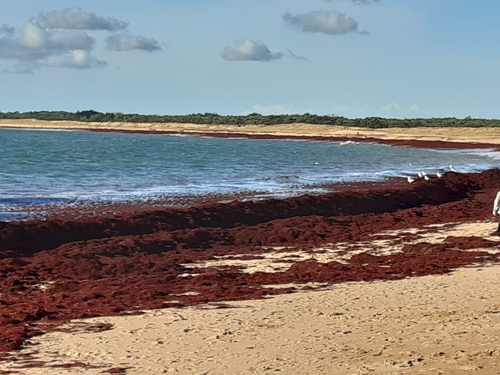 Plage de Sion - Image 1