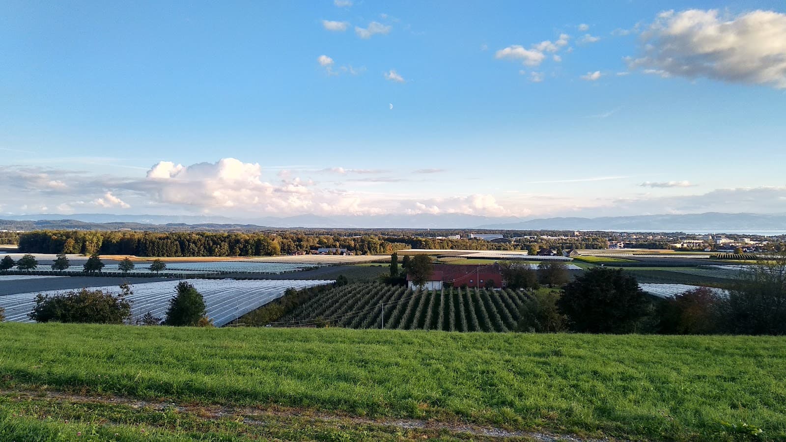 Ailingen Friedrichshafen - Image 1