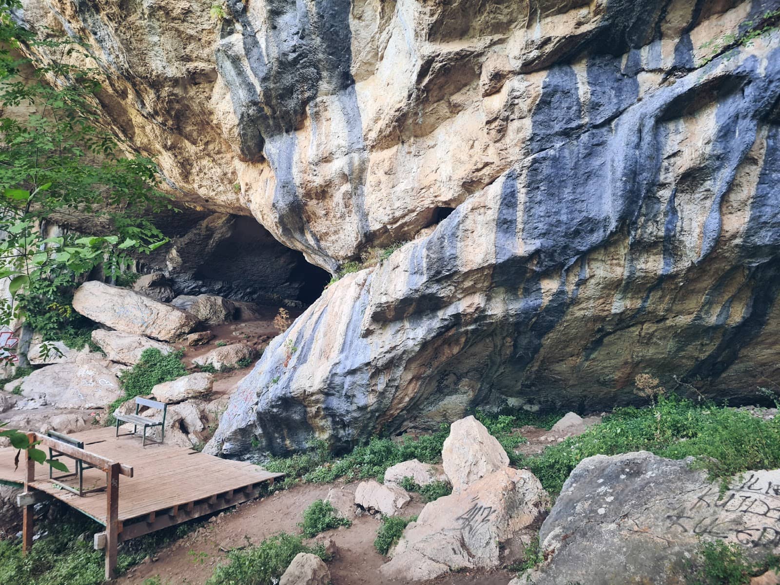 Vertical photo