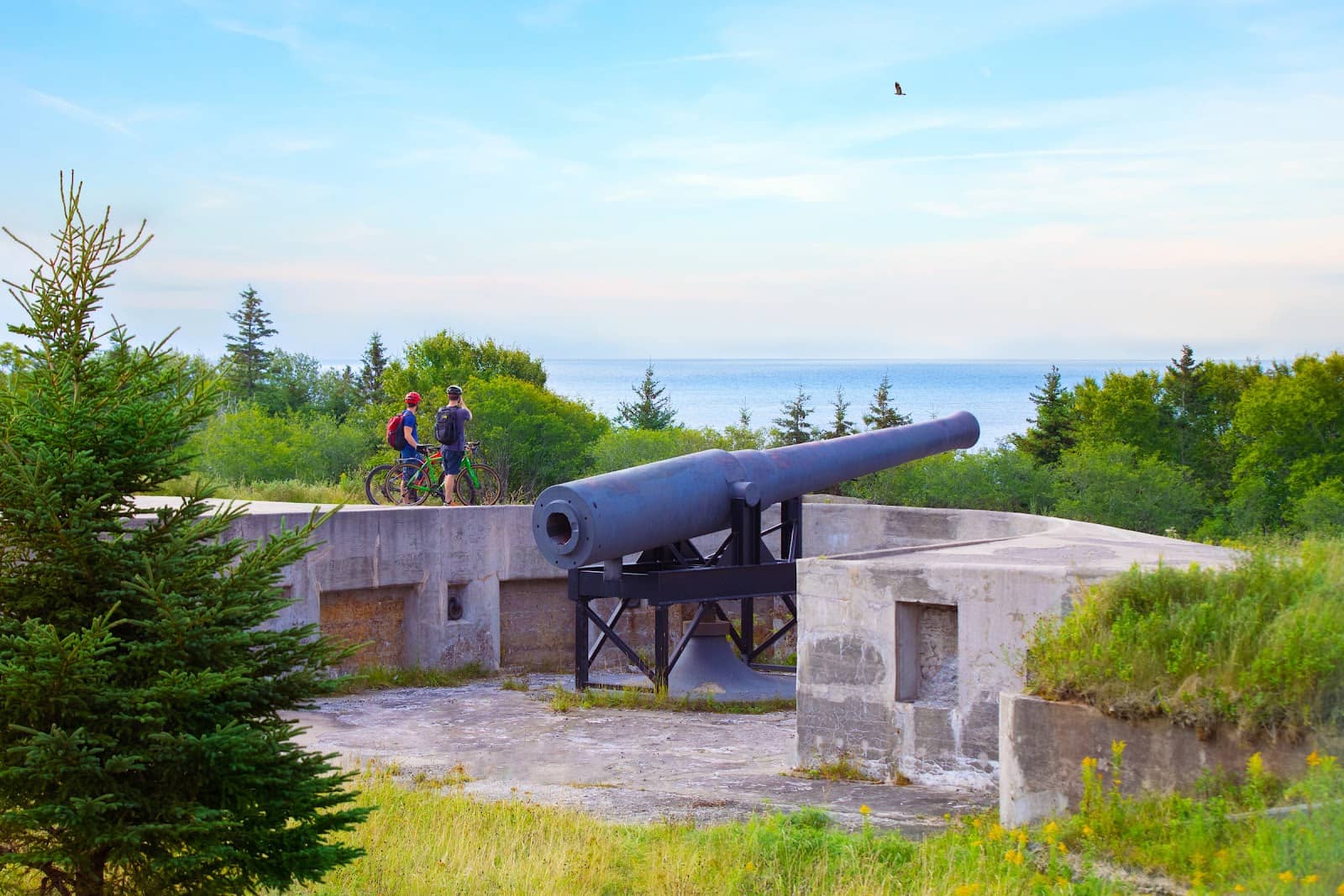 Coastal Views & Beaches