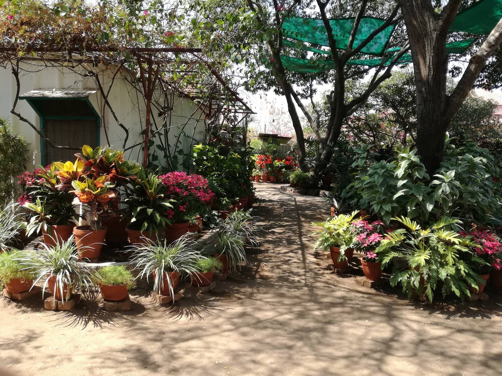 Baba's Samadhi