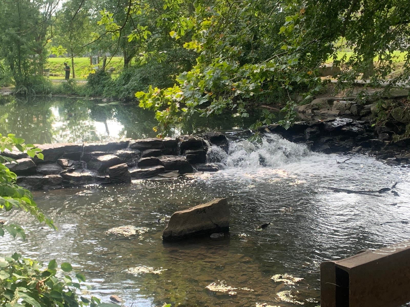 Bronx River - Image 1