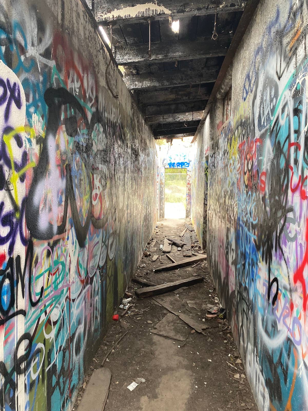 Hiking Trails
