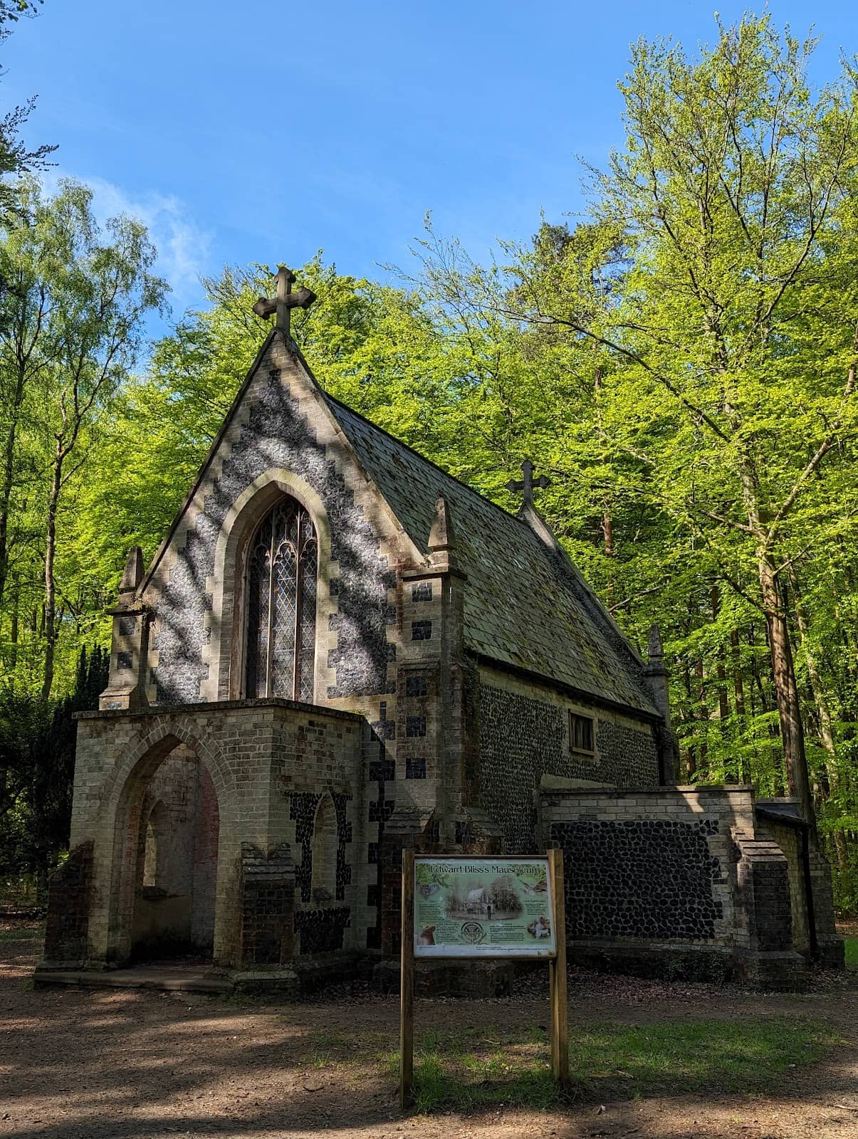 Go Ape Treetop Adventure