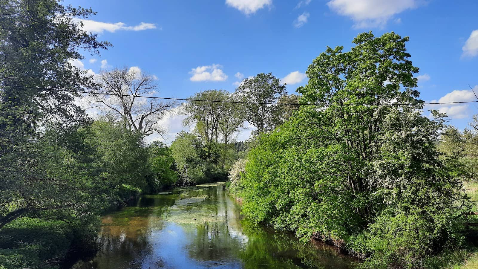 Cycling & Mountain Biking Trails