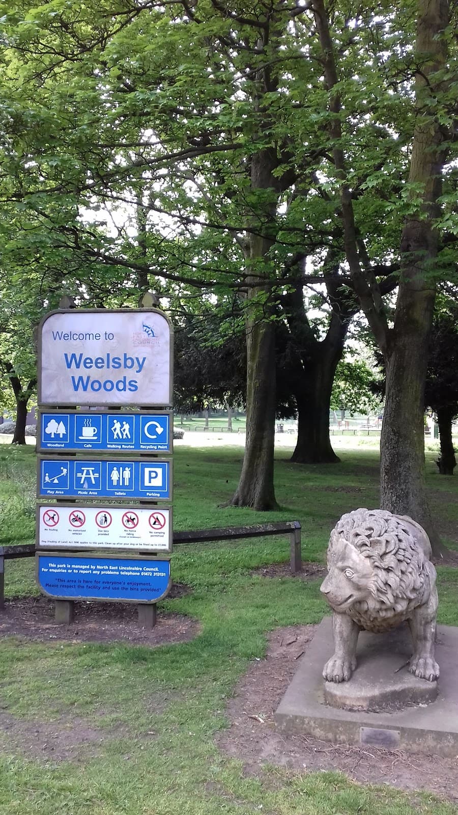 Weelsby Woods - Image 1