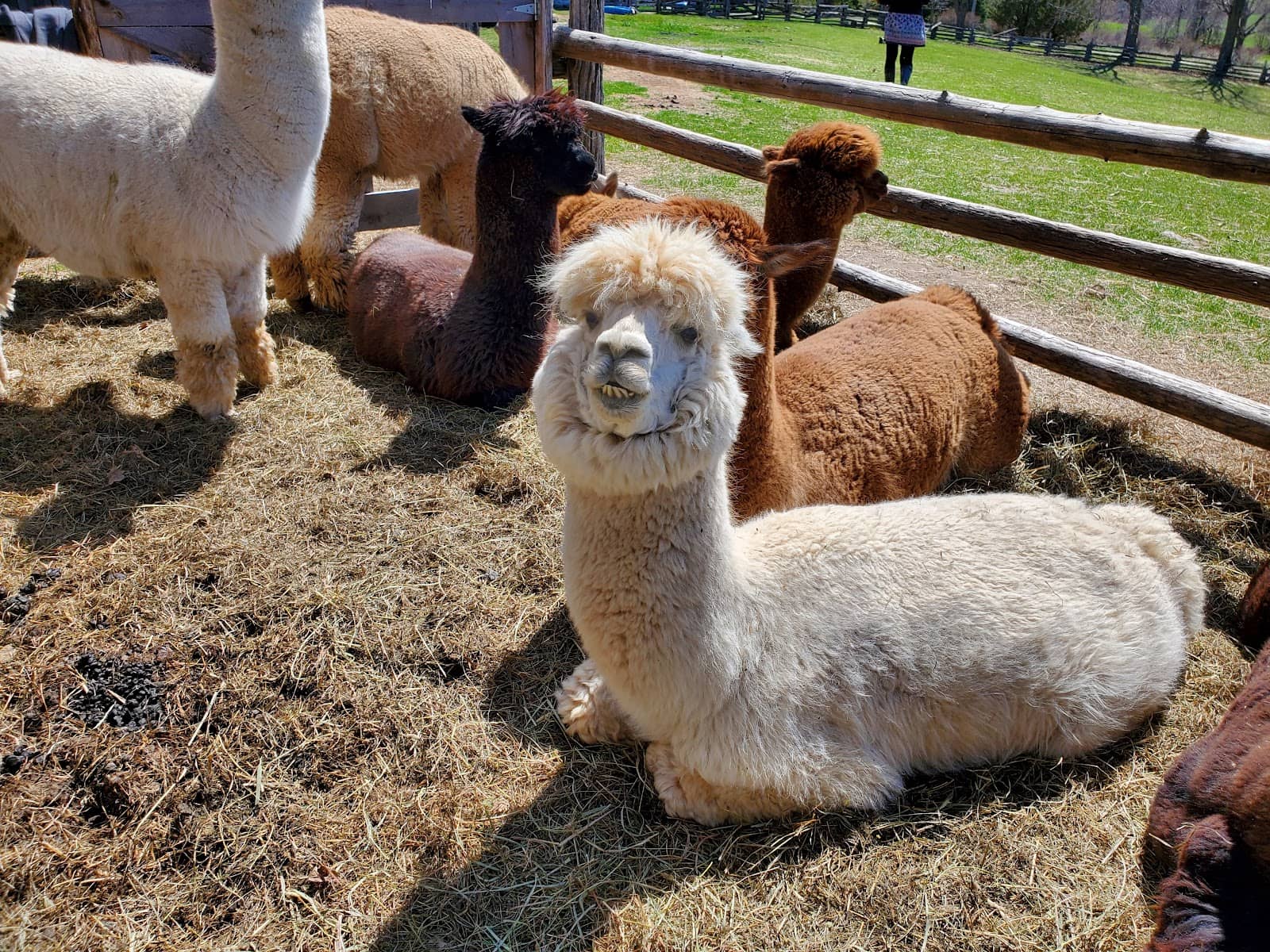 Feeding Time Fun