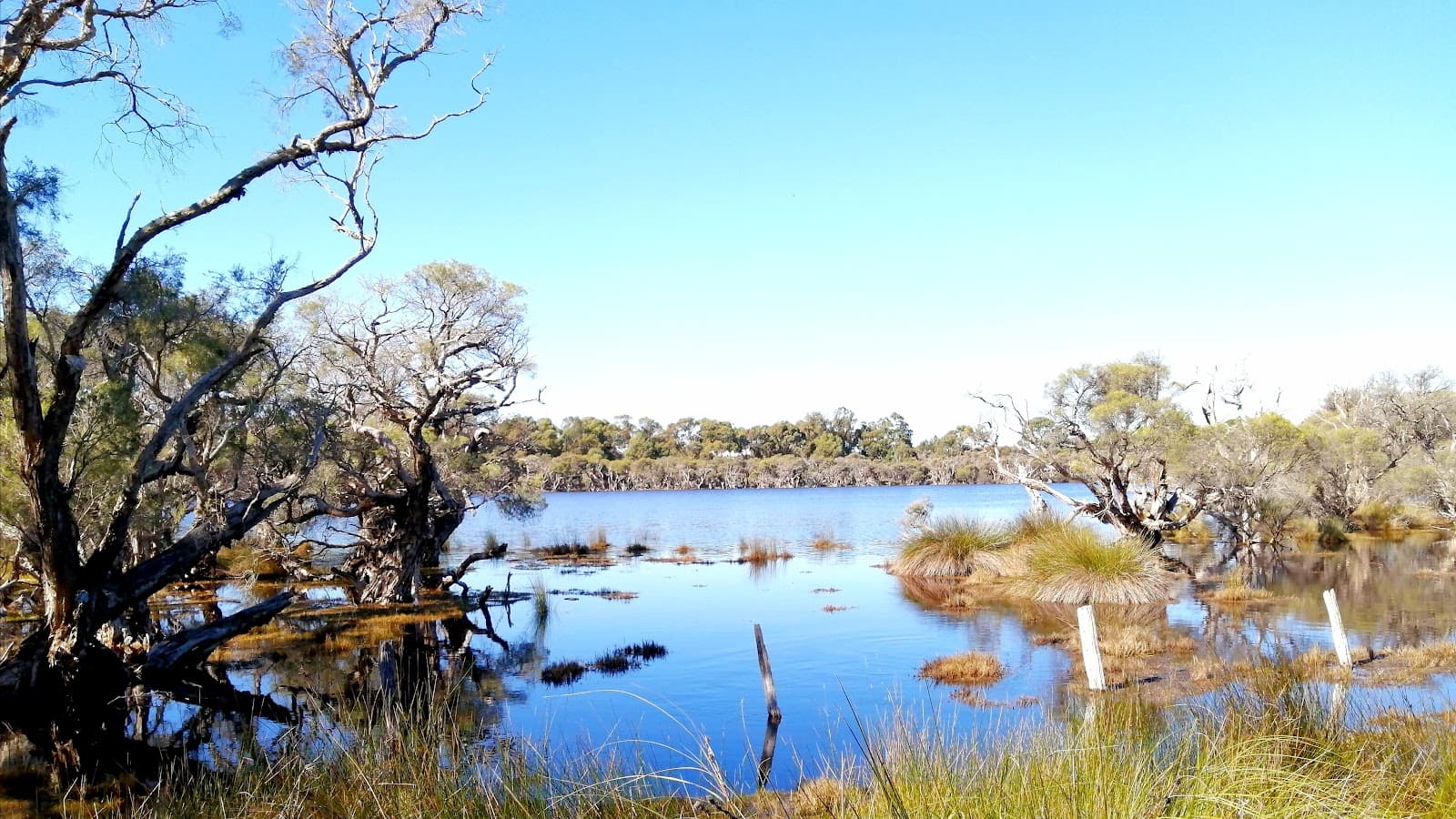 Manning Lake - Image 1