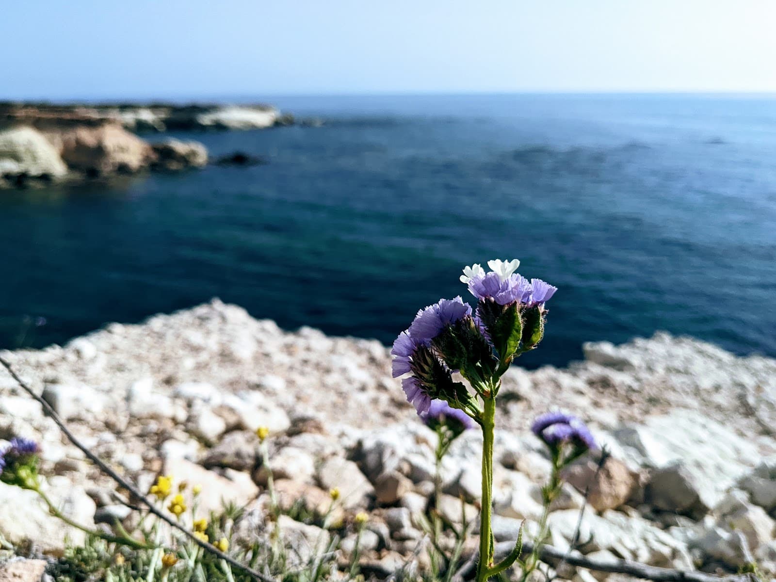 Peyia Sea Caves - Image 1