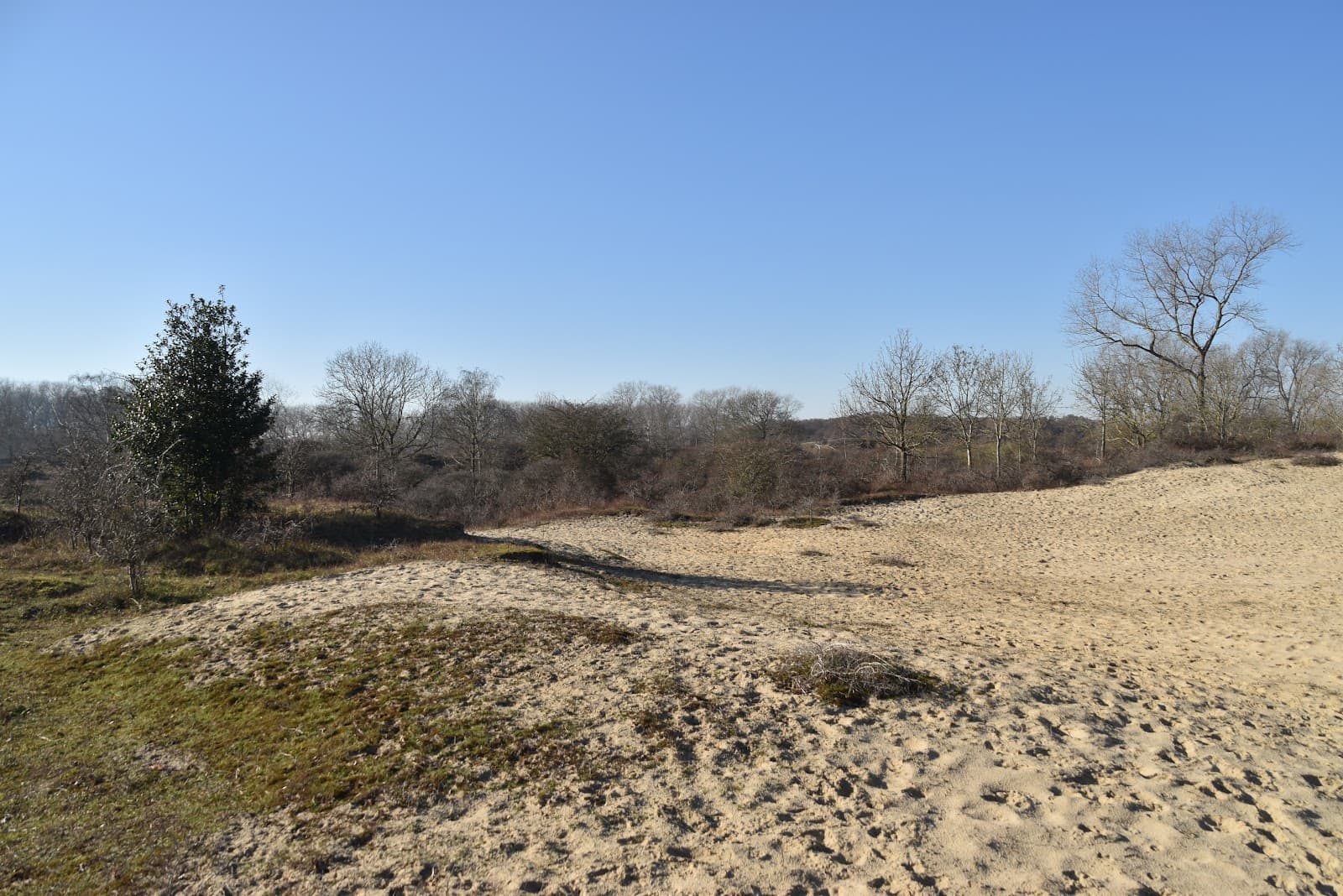 Houtsaegerduinen-Kleitbos - Image 1