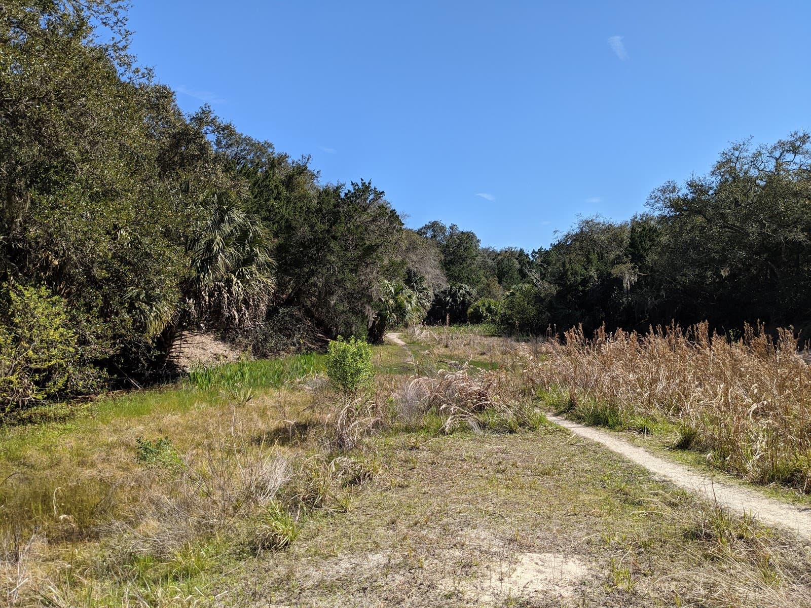 Old Spanish Coquina Quarries - Image 1