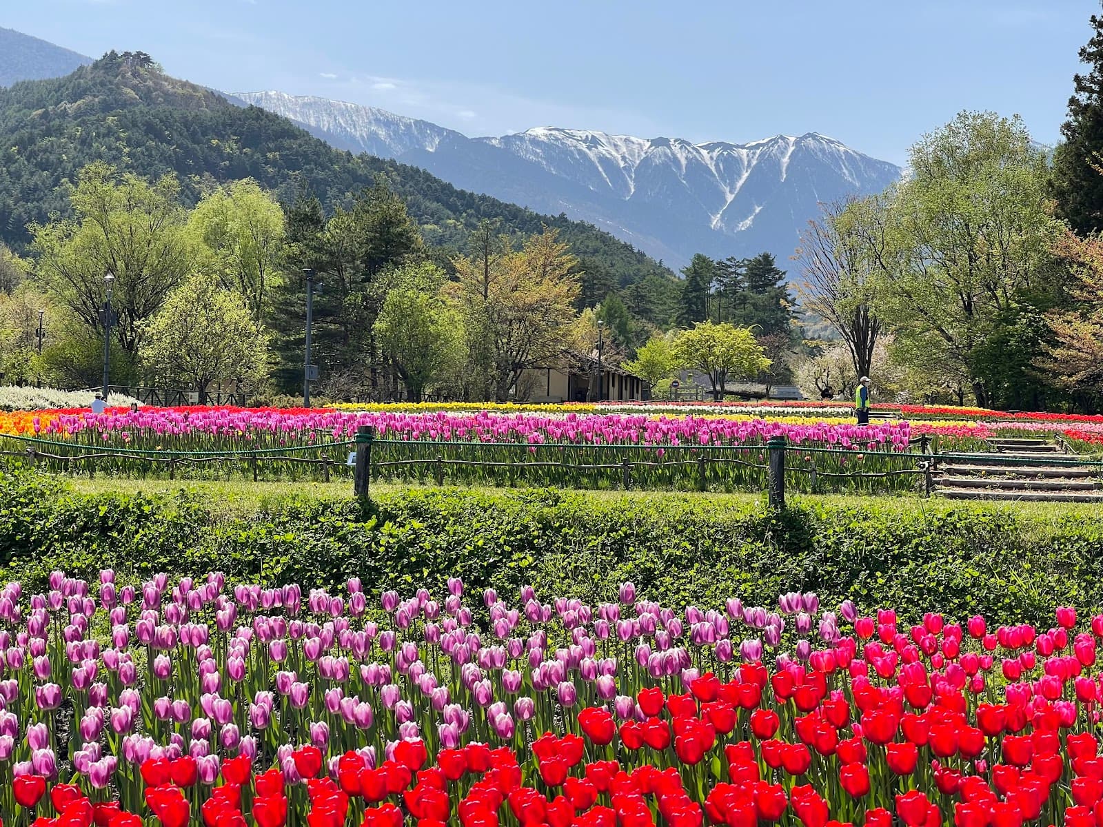 Alps Park Cafe Azumino - Image 1