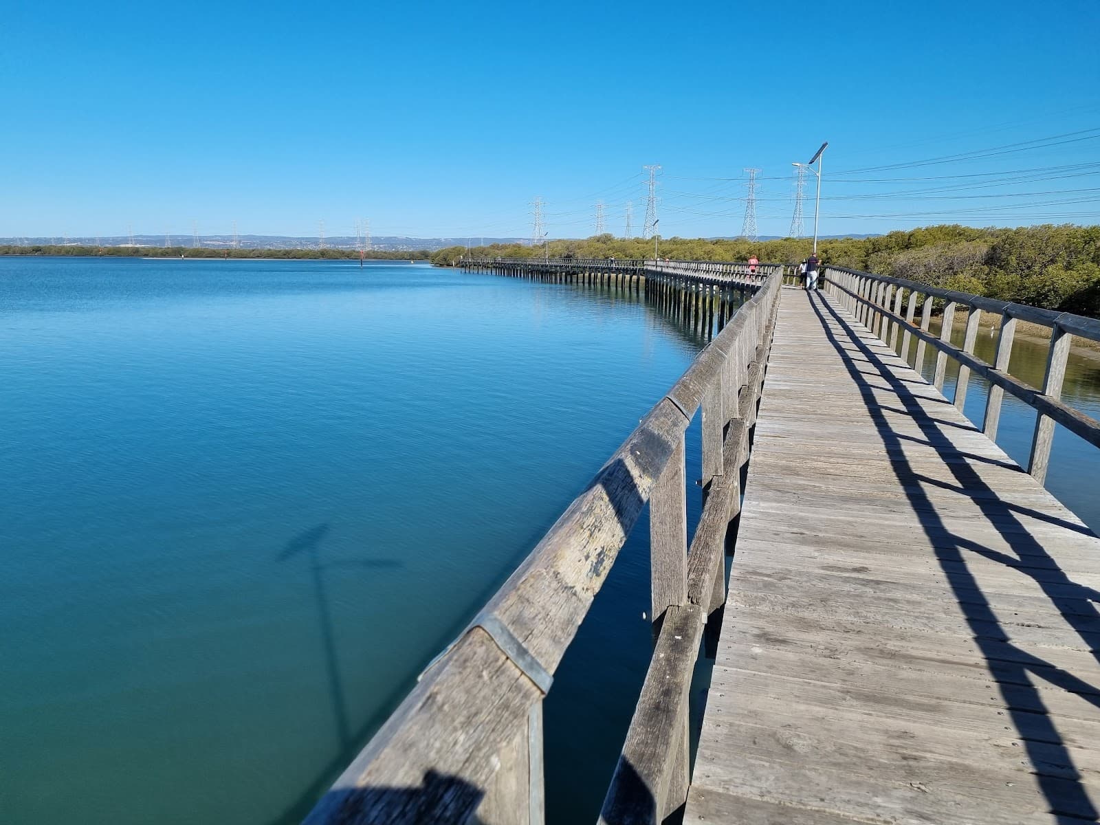 Garden Island Mangrove Boardwalk - Image 1